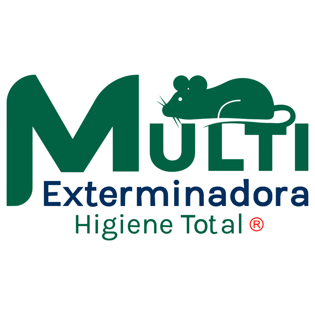 logo multi (2)
